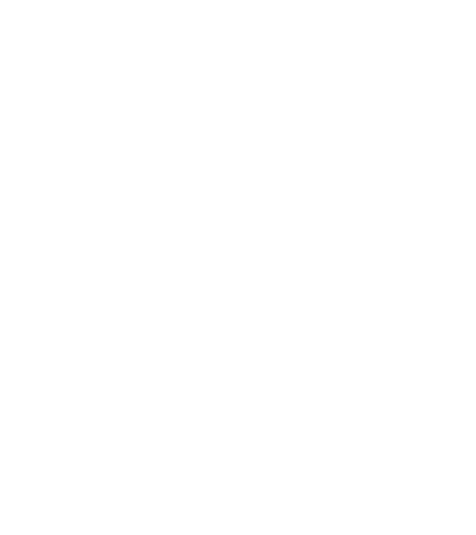 ARGA — международная система защиты